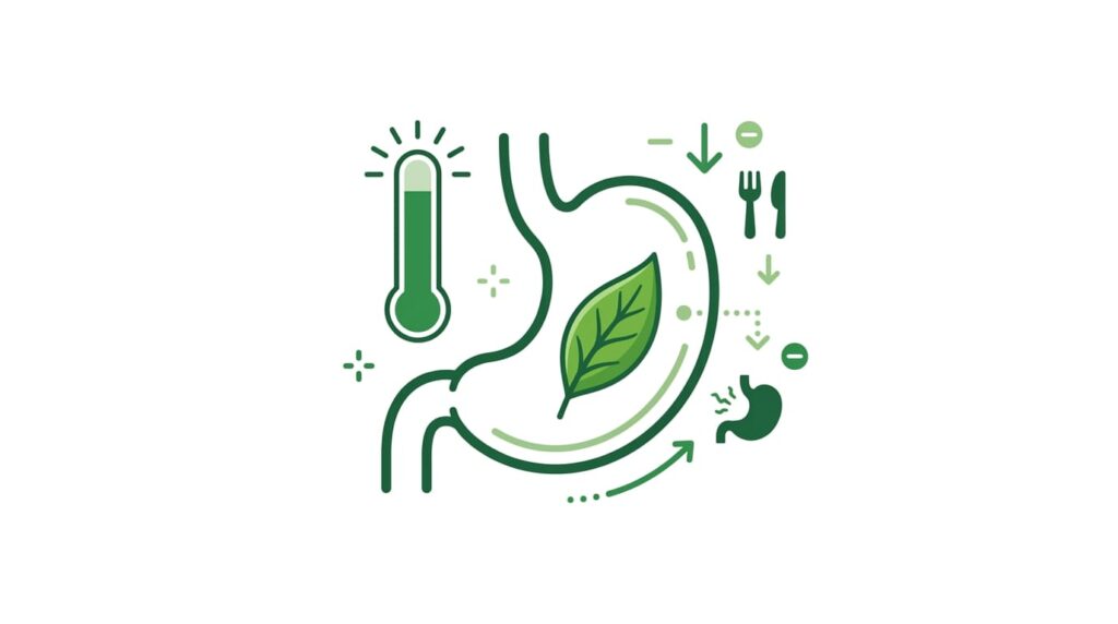 Matcha para Bajar de Peso: 5 Efectos Comprobados por la Ciencia 3 matcha control apetito saciedad