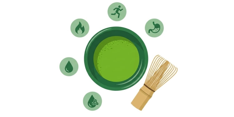 Matcha para Bajar de Peso: 5 Efectos Comprobados por la Ciencia 1 matcha para bajar de peso
