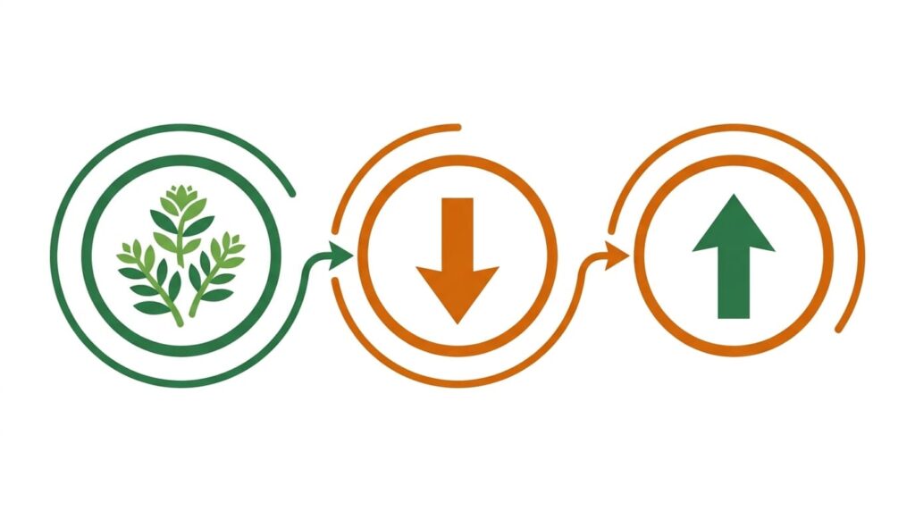 Rhodiola Rosea Beneficios: 7 Efectos Probados 4 rhodiola rosea beneficios