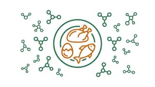 alimentos para aumentar masa muscular