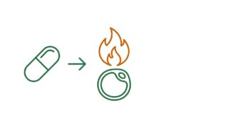 termogénico para qué sirve