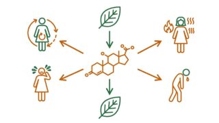 ashwagandha beneficios para la mujer