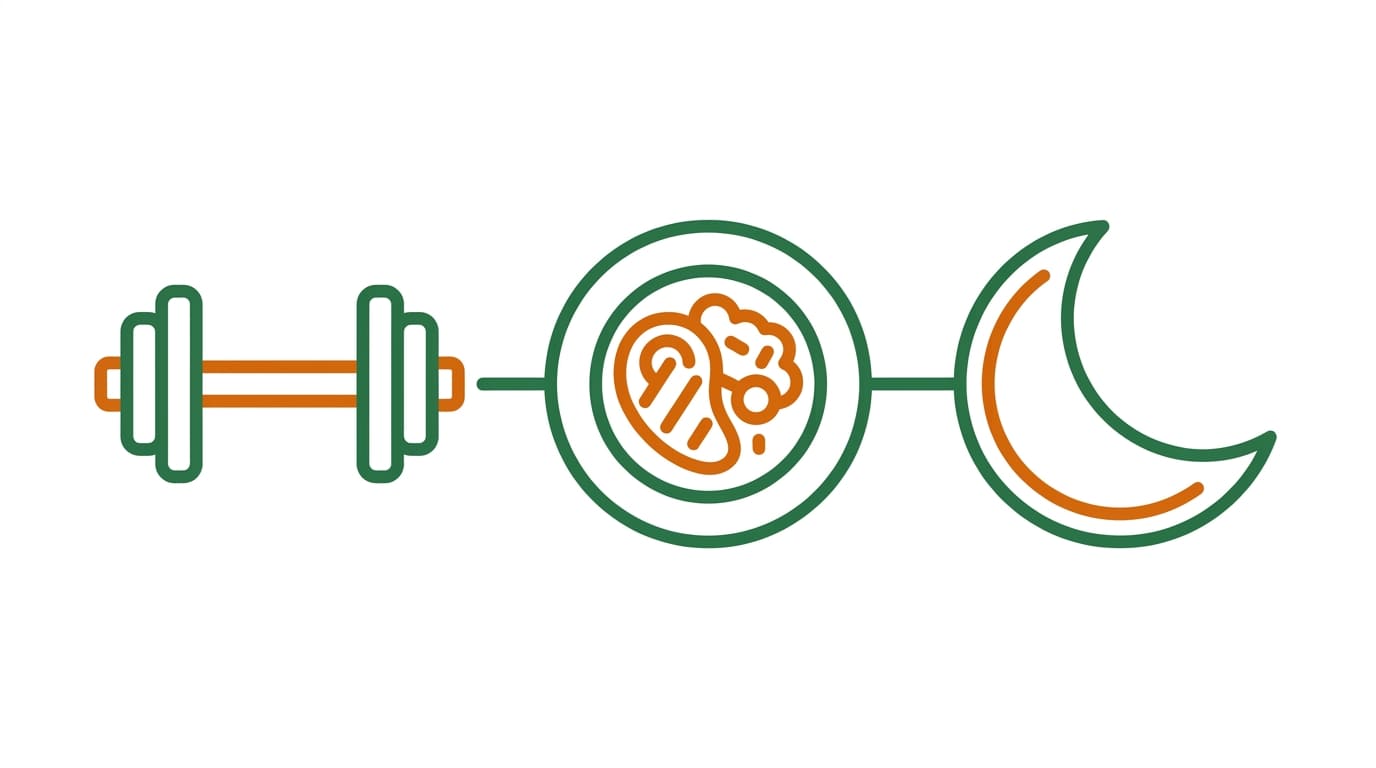 ilustración de los tres pilares del crecimiento muscular