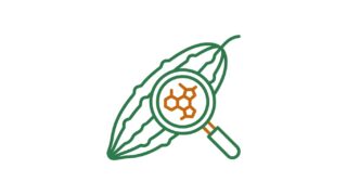 melon amargo para que sirve