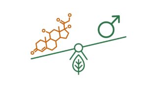 ashwagandha para que sirve en hombres