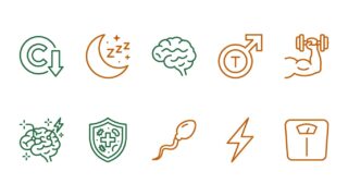 beneficios de ashwagandha